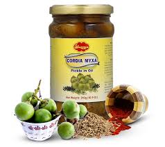 SHEZAN CORDIA MYXA PICKLE 310G