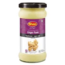 SHAN GINGER PASTE 700G